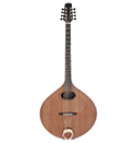 Altri Strumenti a Corda